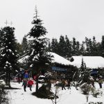 Lễ Hội Mùa Đông Sapa: Hòa mình vào không gian tuyết trắng xóa